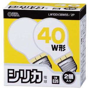 2P オーム電機 2個入 シリカ電球