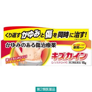 キズカイン 15g 丹平製薬