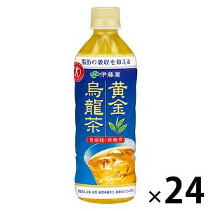 トクホ・特保 伊藤園　黄金烏龍茶　500ml　1箱（24本入）