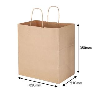 丸紐 クラフト紙手提袋ベーシック 320×350×210 茶 1袋 オリジナル