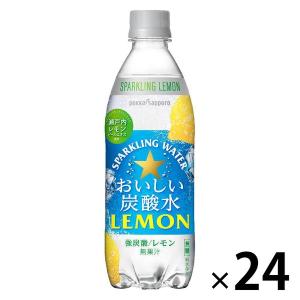 ポッカサッポロフード＆ビバレッジ おいしい炭酸水レモン 600ml 1箱