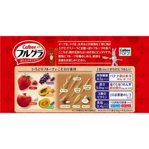 フルグラ 750g 徳用フルーツグラノーラ 1...の詳細画像3