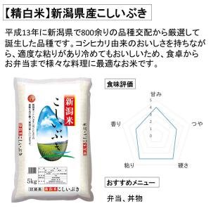 精白米 新潟県産こしいぶき 5kg 令和5年産...の詳細画像2