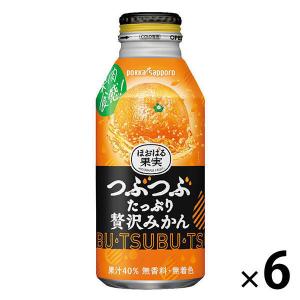 ポッカサッポロフード＆ビバレッジ ほおばる果実 つぶつぶたっぷり贅沢みかん 400ml 1セット