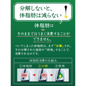 【トクホ・特保】サントリー 伊右衛門 特茶 5...の詳細画像5