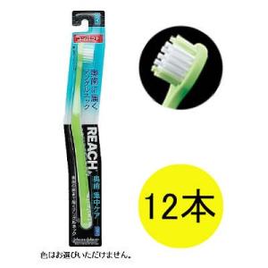 リーチ 奥歯集中ケア コンパクト ふつう 12本入 歯ブラシ