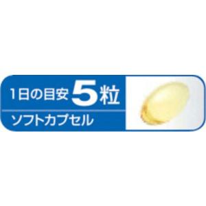 小林製薬の栄養補助食品 EPA 約30日分 1...の詳細画像2