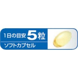 小林製薬の栄養補助食品 EPA 約30日分 1...の詳細画像3