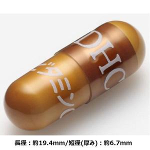 DHC ビタミンC 60日分/120粒×2袋 ...の詳細画像2