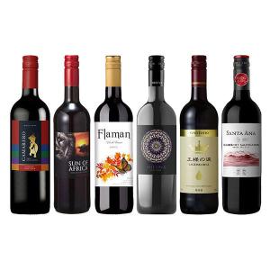 ソムリエ厳選　気軽に飲みたい6カ国周遊　赤ワイン6本セット
