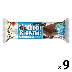 濃厚チョコブラウニーリッチミルク 9個 ブルボン チョコレート 洋菓子 ケーキ