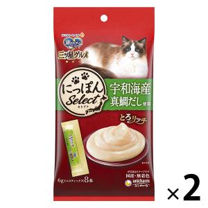 銀のスプーン 三ツ星グルメ おやつ とろリッチたい入り 国産 48g2袋 キャットフード ウェット おやつ