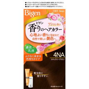 ビゲン 香りのヘアカラー 乳液 4NA ナチュラリーブラウン hoyu