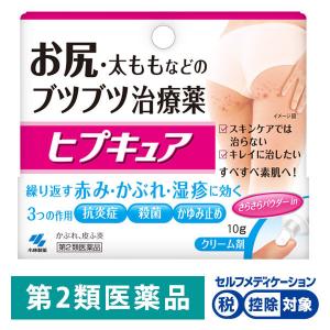ヒプキュア 10g 小林製薬控除