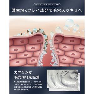NILE(ナイル) メンズ 濃密泡洗顔クリーム...の詳細画像3