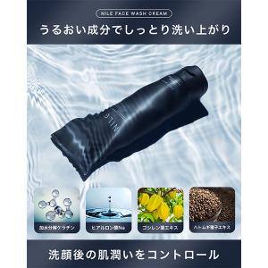 NILE(ナイル) メンズ 濃密泡洗顔クリーム...の詳細画像4