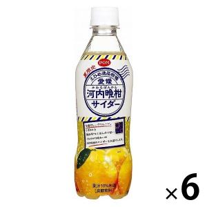 えひめ飲料 POM 愛媛河内晩柑サイダー 1セット（410ml×6本）　炭酸飲料　夏限定
