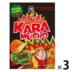 ベトナムカラムーチョチップス ホットチリ味 80g 3袋 湖池屋 ポテトチップス スナック菓子 おつまみ