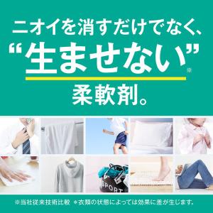 ソフラン プレミアム消臭 柔軟剤 フレッシュグ...の詳細画像2