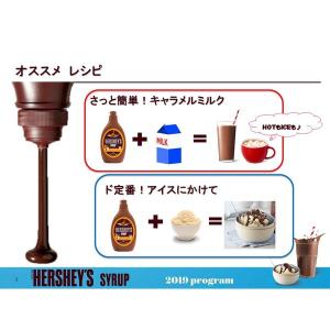 【アウトレット】ハーシー キャラメル シロップ...の詳細画像4
