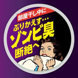 アタック 抗菌EX 部屋干し用 詰め替え 超特...の詳細画像3
