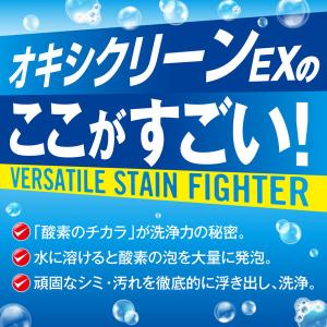 オキシクリーンEX 3.27kg 1個 衣料用...の詳細画像3