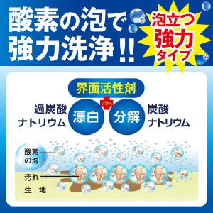 オキシクリーンEX 3.27kg 1個 衣料用...の詳細画像4