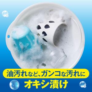 オキシクリーンEX 3.27kg 1個 衣料用...の詳細画像5