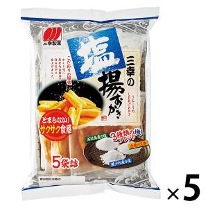 三幸製菓 三幸の塩揚おかき 1セット