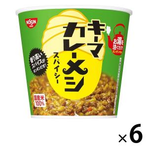 日清キーマカレーメシ スパイシー 6個