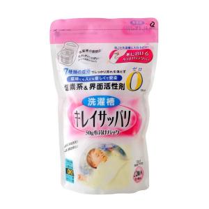 洗濯槽キレイサッパリ 50g小分けパック12個入り 600g アーネスト