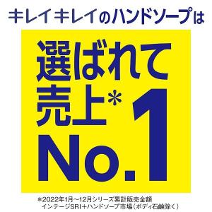 【セール】キレイキレイ 薬用 ハンドソープ 泡...の詳細画像4