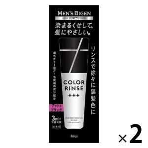 メンズビゲン カラーリンス 白髪用 トリプルプラス アッシュブラック 120g 2個 ホーユー