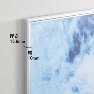 DSパネルプラス(低反射タイプ) B2 シルバ...の詳細画像4