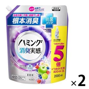 ハミング 消臭実感 アクアティックフルーツの香り スパウトパウチ 超特大 2000ml 1セット 柔軟剤 花王