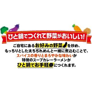 袋麺 日清のラーメン屋さん 札幌スープカレーラ...の詳細画像2