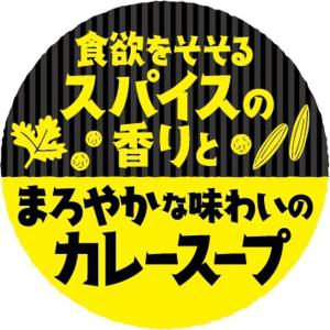 袋麺 日清のラーメン屋さん 札幌スープカレーラ...の詳細画像4