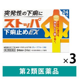 ストッパ下痢止めEX 24錠×3箱 ライオン