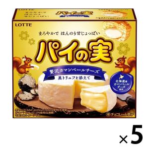 パイの実 5個 ロッテ チョコレート おつまみ パイ