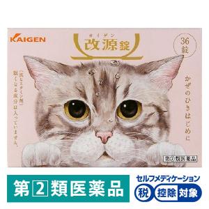 改源錠 36錠 なごむくんパッケージ カイゲンファーマ 風邪薬