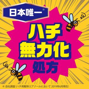 蜂 退治 駆除剤 スプレー ハチアブスーパージ...の詳細画像1