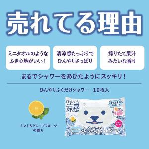 ひんやりふくだけシャワー 1個(10枚入) と...の詳細画像3