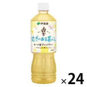 伊藤園 健康ミネラルむぎ茶 5種の健康麦 すっきりブレンド 650ml 1箱（24本入）