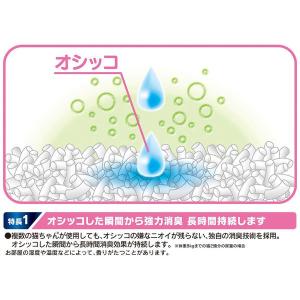 デオサンド 猫砂 複数ねこ用 紙砂 10L 5...の詳細画像3