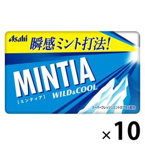MINTIA(ミンティア) ワイルド&クール 1...の商品画像
