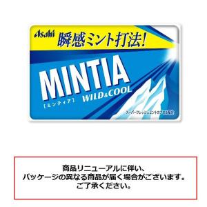 MINTIA(ミンティア) ワイルド&クール ...の詳細画像1