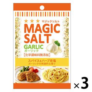 S&B 袋入りマジックソルト ガーリック 20g 3個 エスビー食品