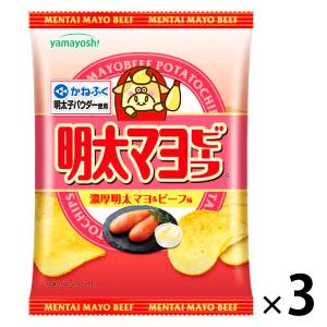 山芳製菓 明太マヨビーフ 3袋 ポテトチップス スナック菓子