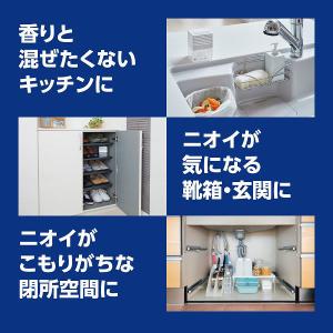 無香空間 特大 無香料 詰め替え用 消臭ビーズ...の詳細画像5