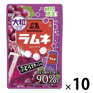 森永製菓 大粒ラムネ＜ぶどうスカッシュ＞ 10袋 ラムネ お菓子